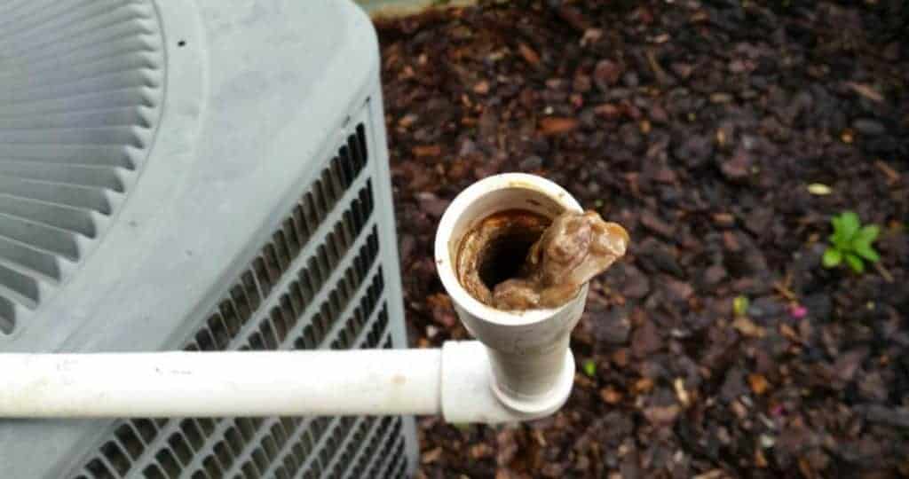 close up photo of sludge buildup in a ac drain pipe in chandler, AZ home